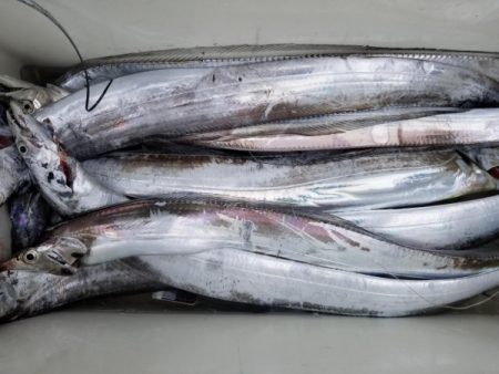 オーフリー 釣果