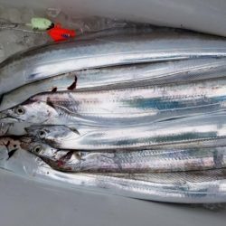 オーフリー 釣果