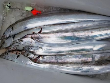 オーフリー 釣果