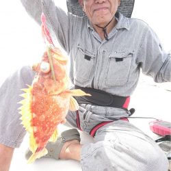 マタウマリンサービス 釣果