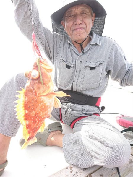 マタウマリンサービス 釣果