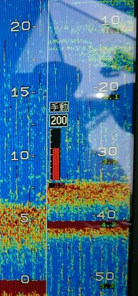 オーフリー 釣果