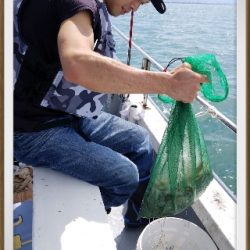 内浜丸 釣果