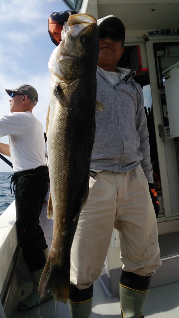 海運丸 釣果