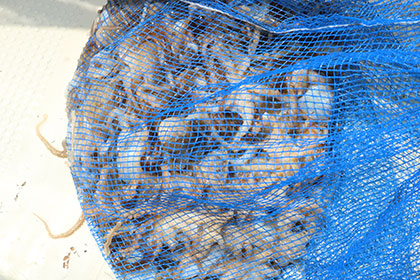 松本釣船２ 釣果