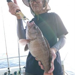 マタウマリンサービス 釣果