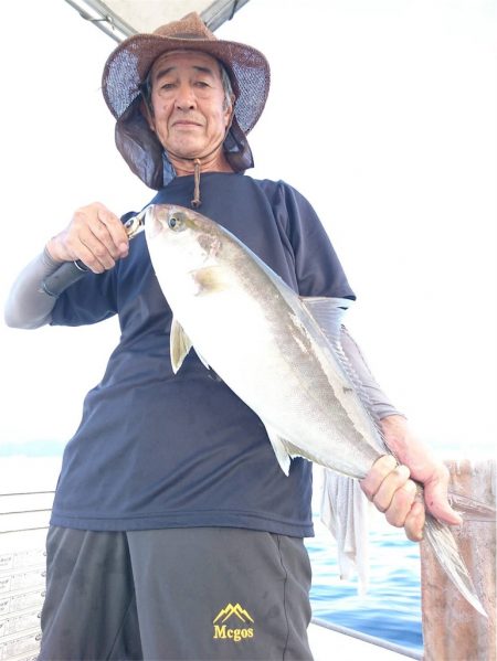 マタウマリンサービス 釣果