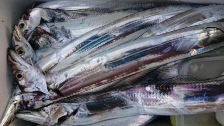 オーフリー 釣果