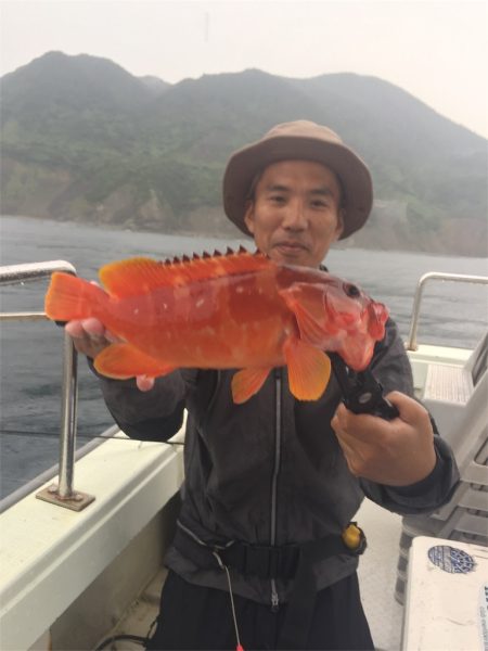 マタウマリンサービス 釣果