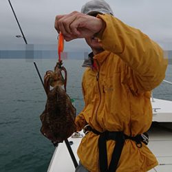 松本釣船２ 釣果