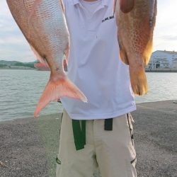 オーフリー 釣果