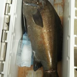 モンロー号 釣果