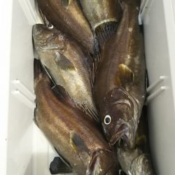 モンロー号 釣果