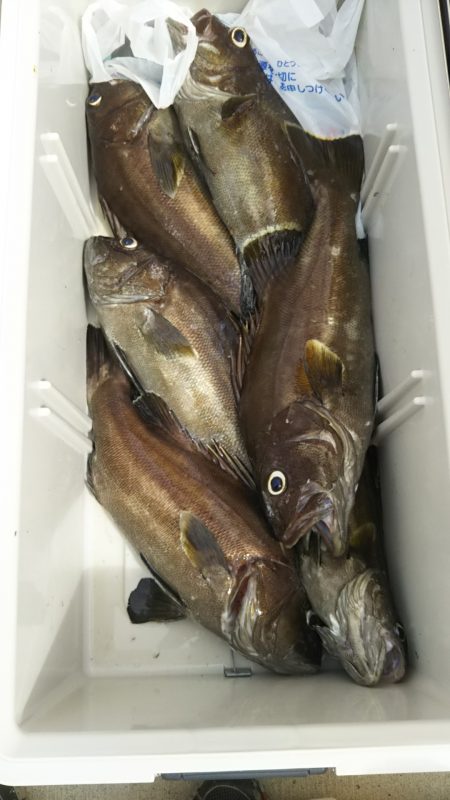 モンロー号 釣果