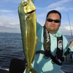 ルアー船マヒマヒ 釣果