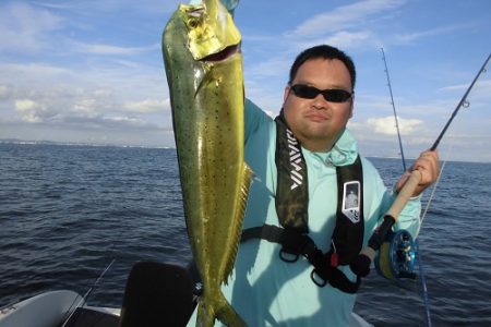 ルアー船マヒマヒ 釣果