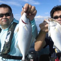 ルアー船マヒマヒ 釣果