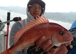 愛裕南丸 釣果