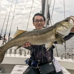 オーシャンマスター 釣果
