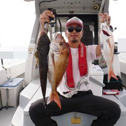 松本釣船２ 釣果