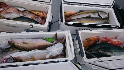 海龍丸（福岡） 釣果