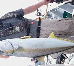 海龍丸(福岡) 釣果