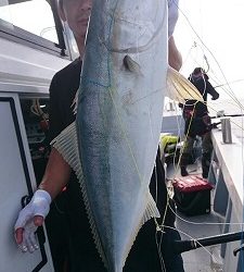 海龍丸(福岡) 釣果