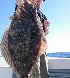 海龍丸(福岡) 釣果