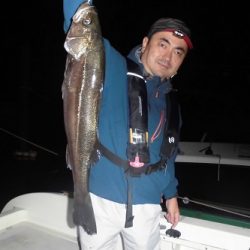 ルアー船マヒマヒ 釣果