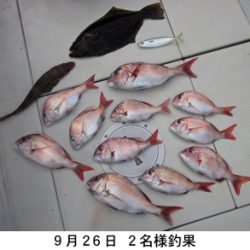 来温丸(らいおんまる) 釣果