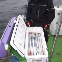 川崎丸 釣果