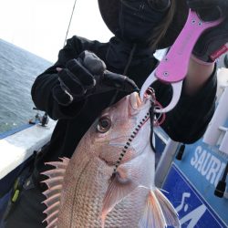 長栄丸(千葉) 釣果