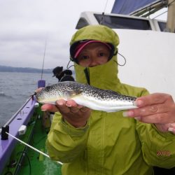 川崎丸 釣果