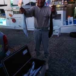 龍神丸(福井) 釣果