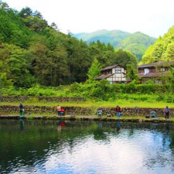 小菅トラウトガーデン 釣果