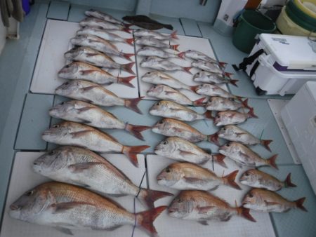 遊漁船 幸友丸 釣果