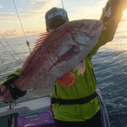 遊漁船ブルーウッズ 釣果