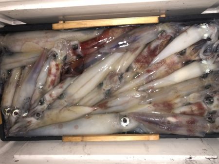 幸風（さちかぜ） 釣果