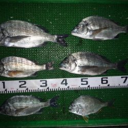 海山フィッシングセンター 釣果