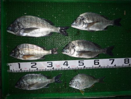 海山フィッシングセンター 釣果