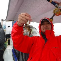 遊漁船 幸友丸 釣果