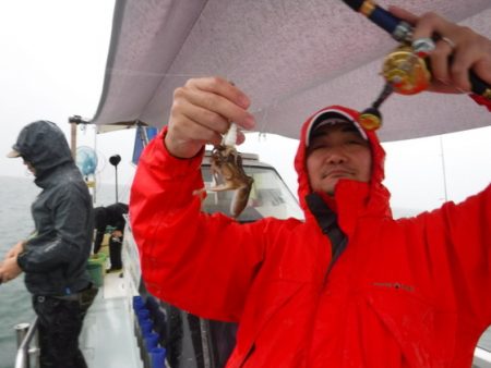 遊漁船 幸友丸 釣果