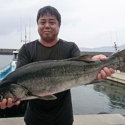 しば渡船 釣果