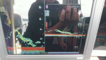 遊漁船ブルーウッズ 釣果