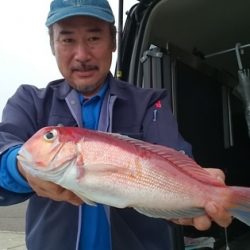 大進丸(新潟) 釣果