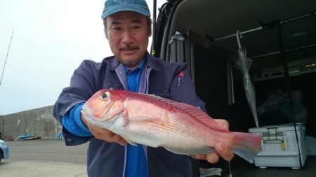 大進丸（新潟） 釣果