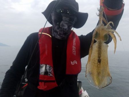 Magic(マジック) 釣果