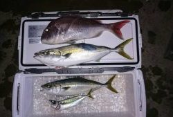 さぶろう丸 釣果