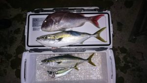 さぶろう丸 釣果