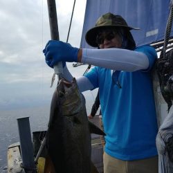 フィッシングハウス伊藤 釣果